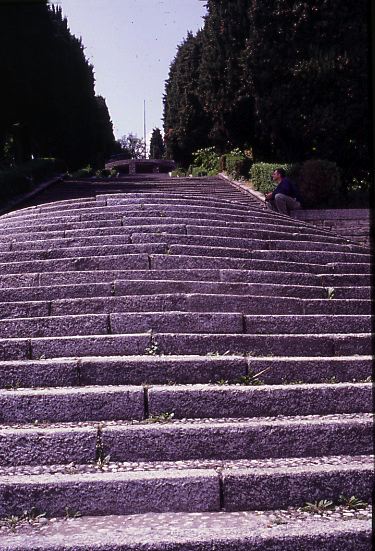 5b.jpg