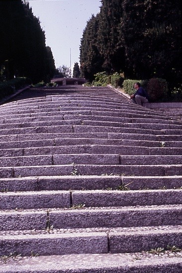 Erba
                  Terragni Saggio