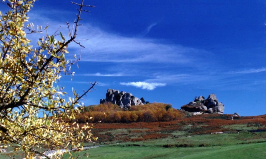 Antonino Saggio Lecture image