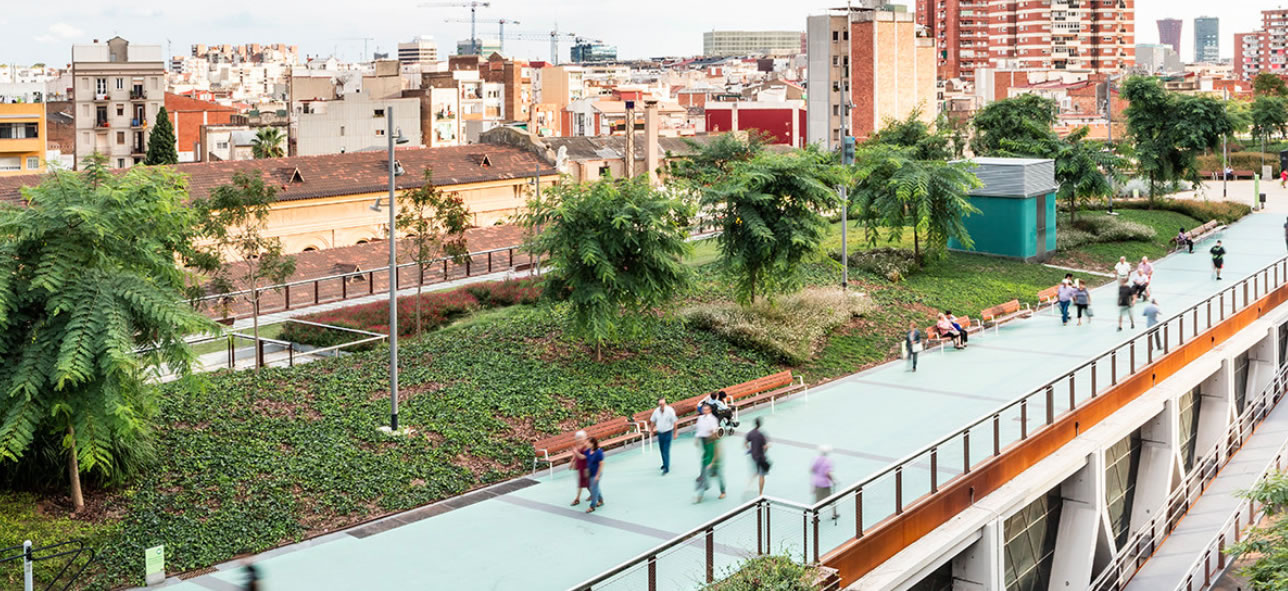 Antonino
                      Saggio